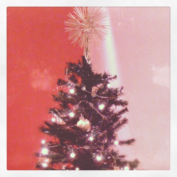 Our Christmas tree, our Christmas tree, how lovely are…