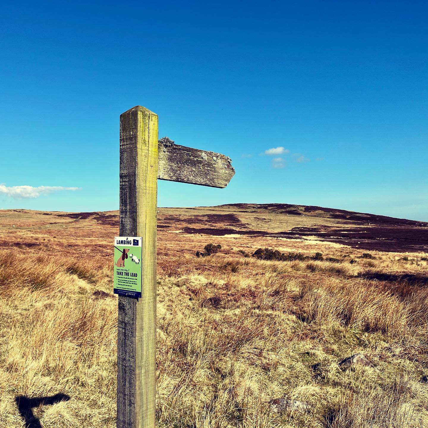 Hiking Northumberland.