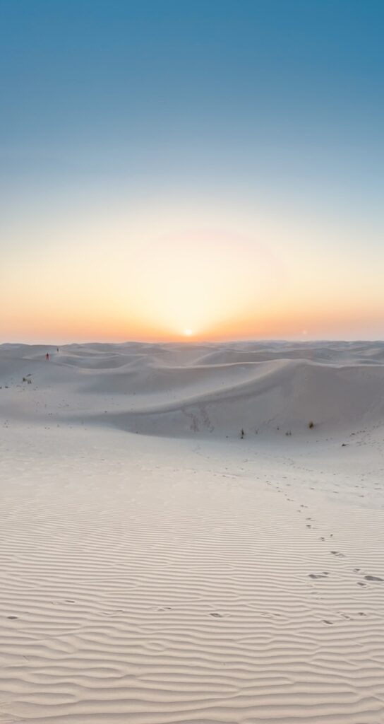 Sunset in the desert