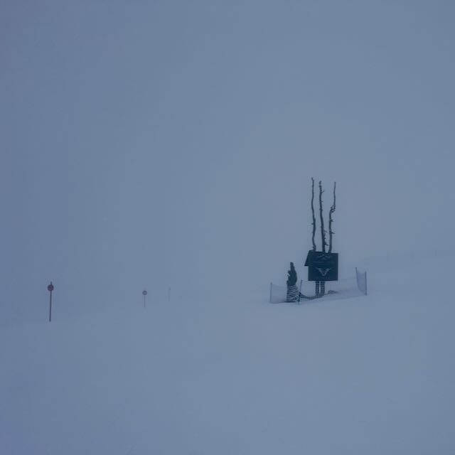 Sign on tree in snowly cloudy conditions.